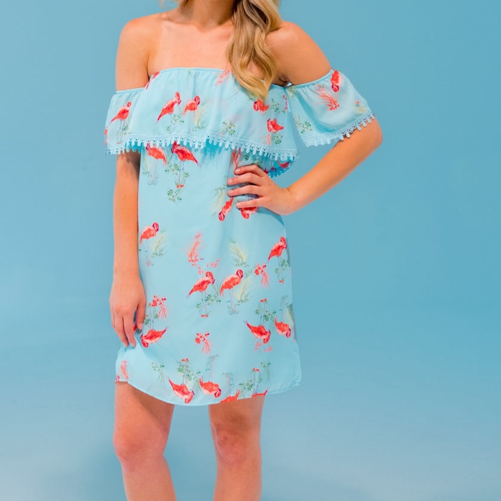 NWT- Flamingo dress by Flying Tomato
